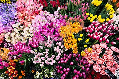 DEI？《007：曙光》被网友怒批插入五颜六色的NPC